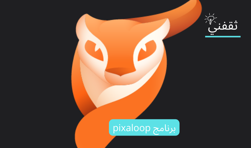 برنامج pixaloop