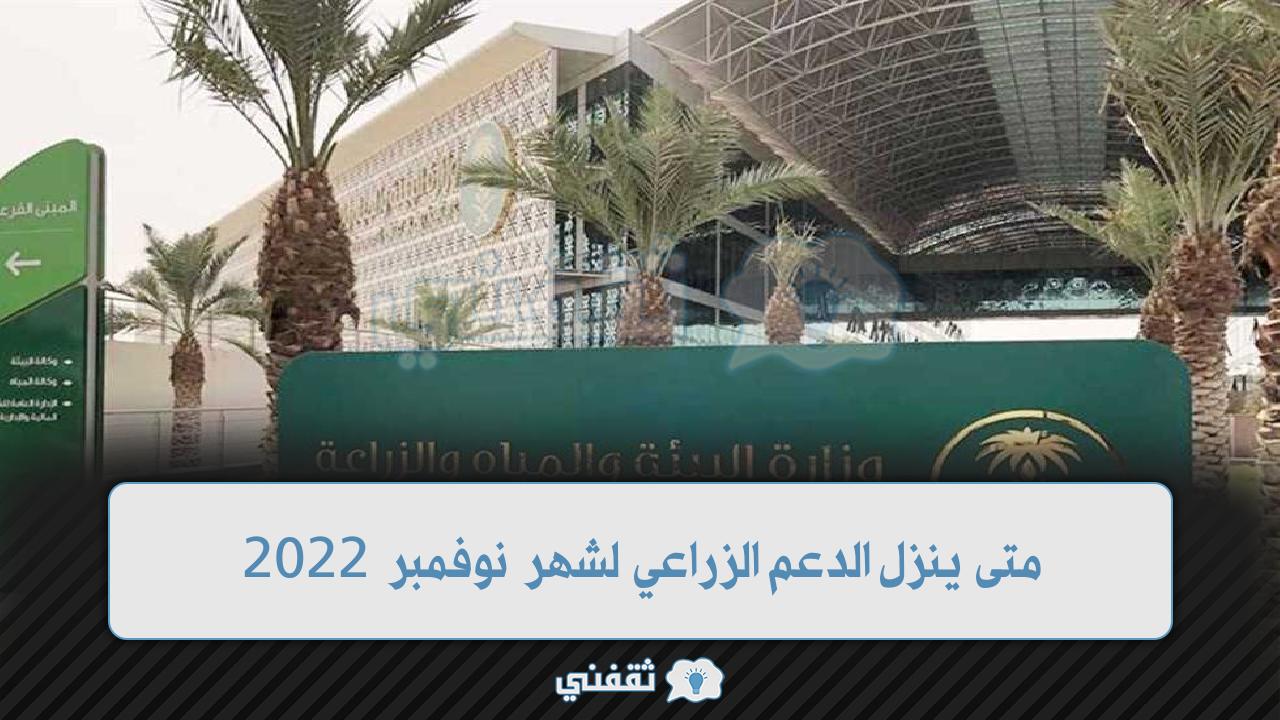 ثقفني