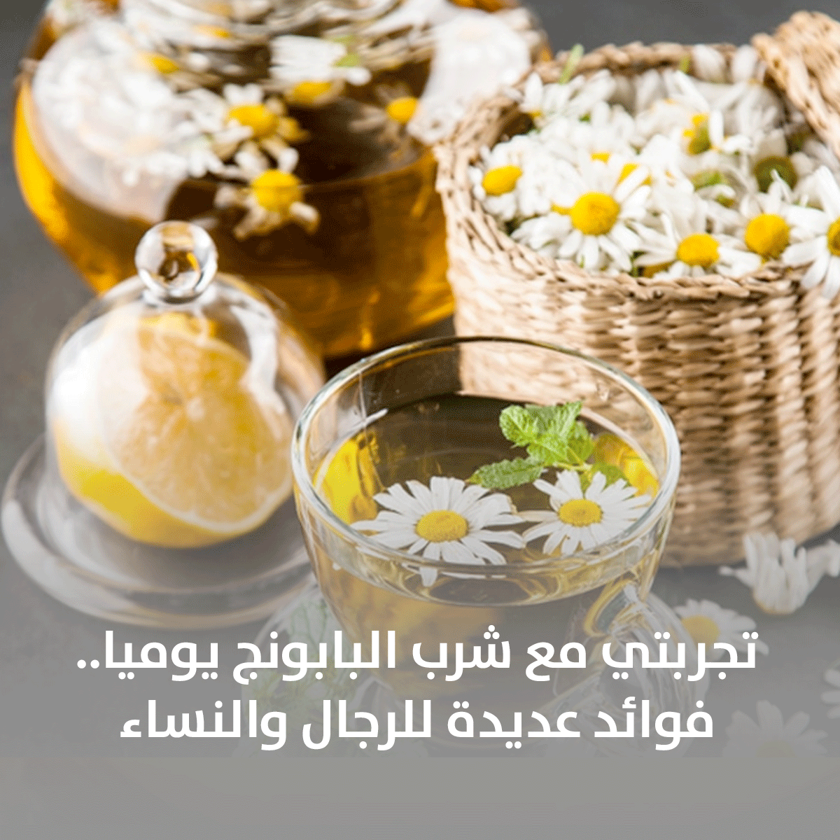 تجربتي مع شرب البابونج يوميا