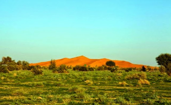 حدائق الرياض