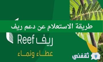 الاستعلام عن دعم ريف 1444 برقم الهوية reef.gov وشروط استحقاق الدعم