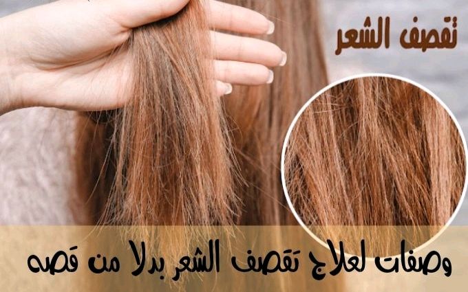 وصفات طبيعة لعلاج تقصف الشعر وأعاده بناؤه بكل سهولة