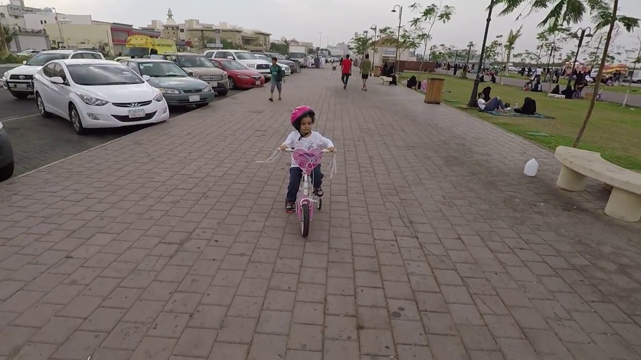 حدائق جدة