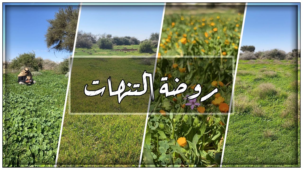 أفضل مخييمات الرياض
