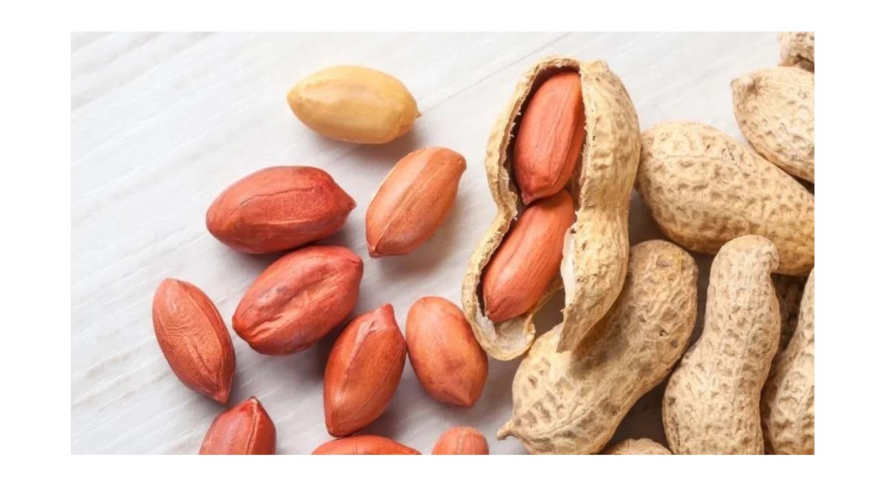 حساسية الفول السوداني