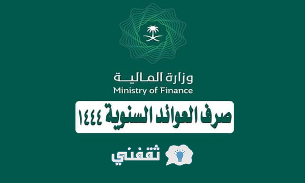 نماذج العوائد السنوية