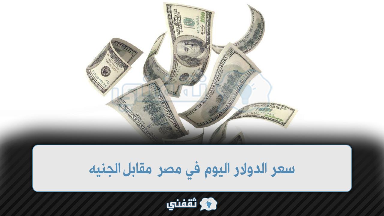 سعر الدولار في مصر اليوم أمام الجنيه