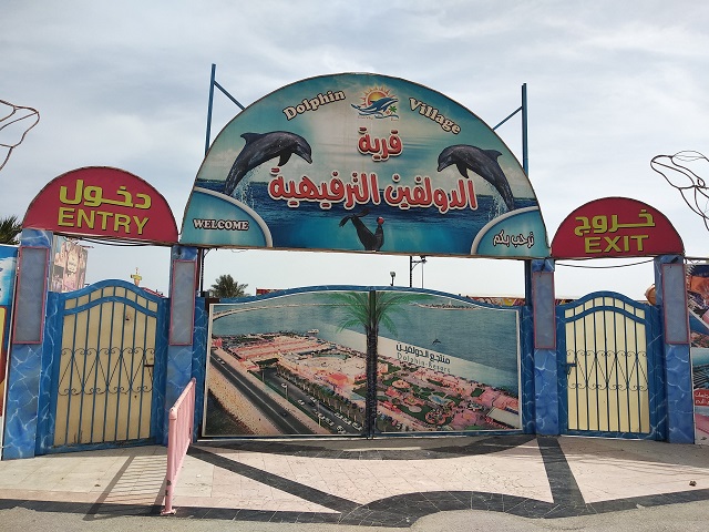 Dolphin village