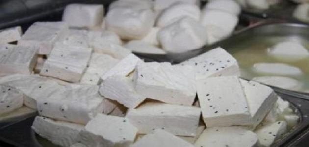 ليه نشتريها من بره وأحنا ممكن نعملها فى البيت... طريقة عمل ألجبنه البيضاء بخيرها خطوة بخطوة وبدون منفحة وطريقة تخزينها طعمها روعه