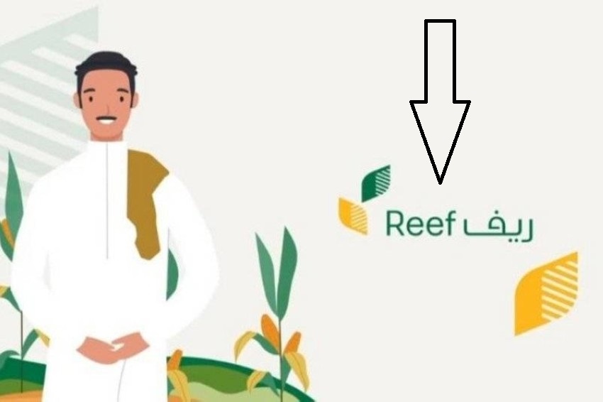 موعد نزول دعم ريف بعد قبول الطلب