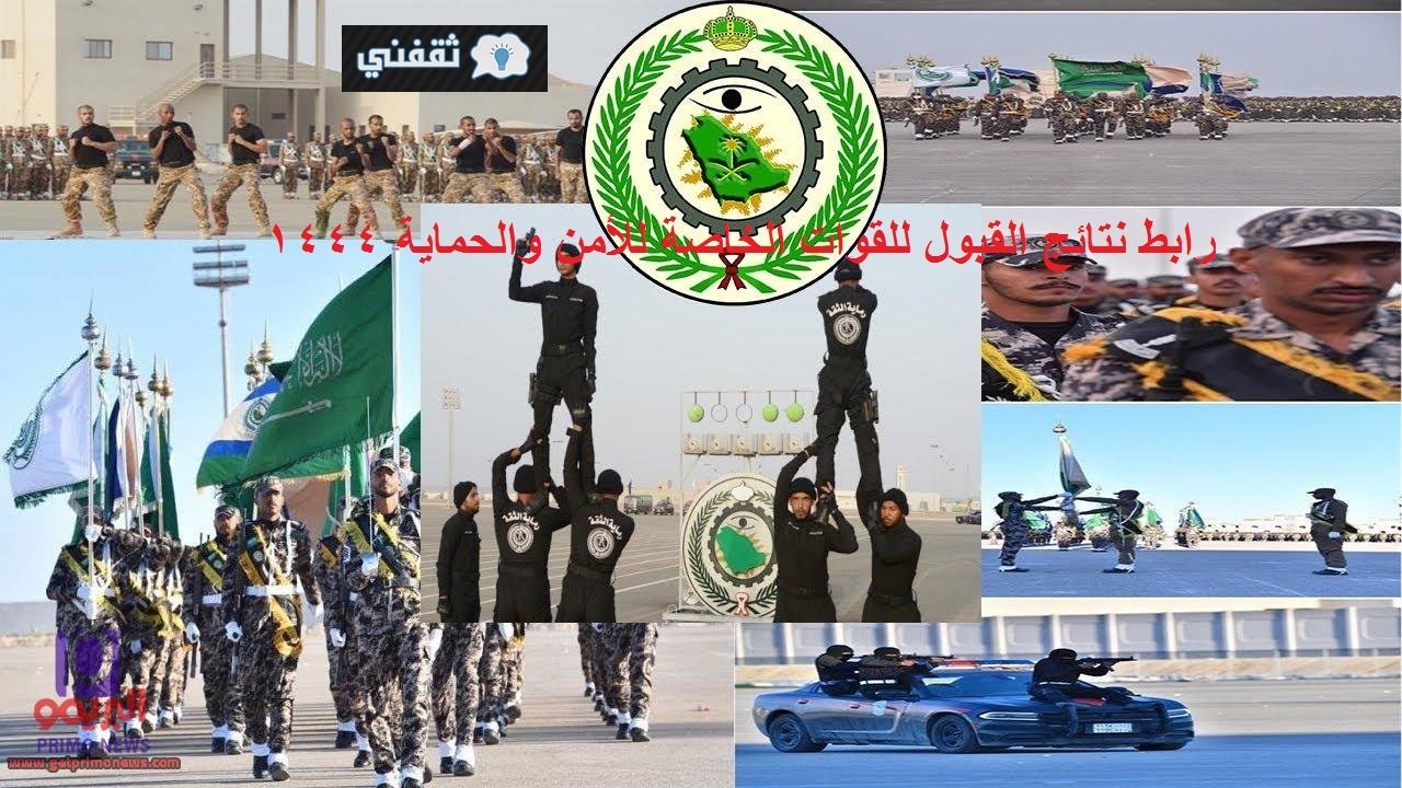 قوات الامن والحماية الخاصة وزارة الدفاع