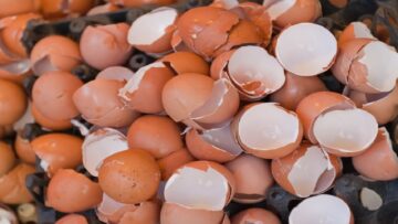 معجزة قشر البيض المطحون كنز في بيتك لن ترميه من اليوم استخدامات مذهلة