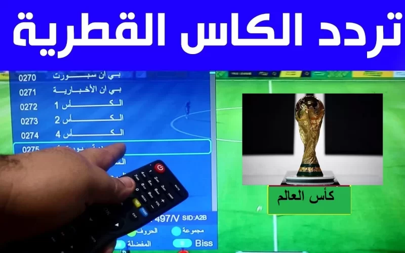 تردد قناة الكأس الجديدة