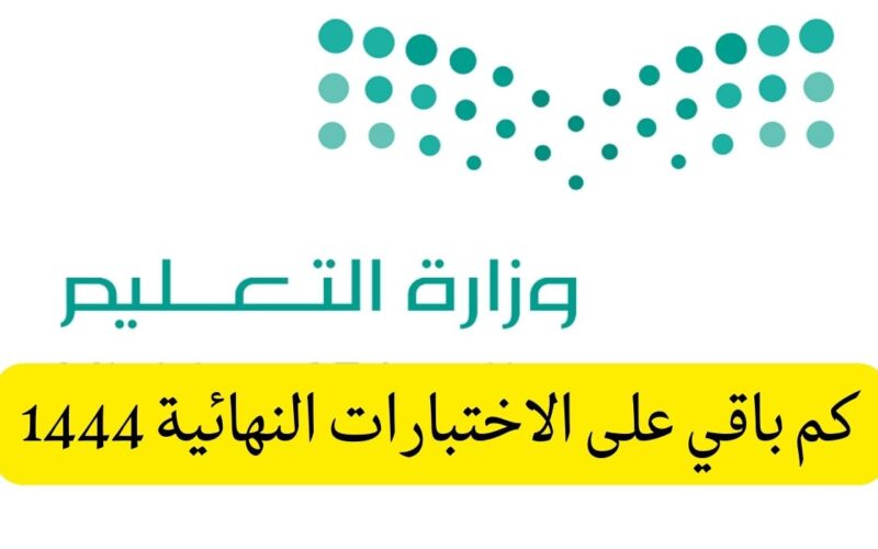 بداية الإجازة المطولة