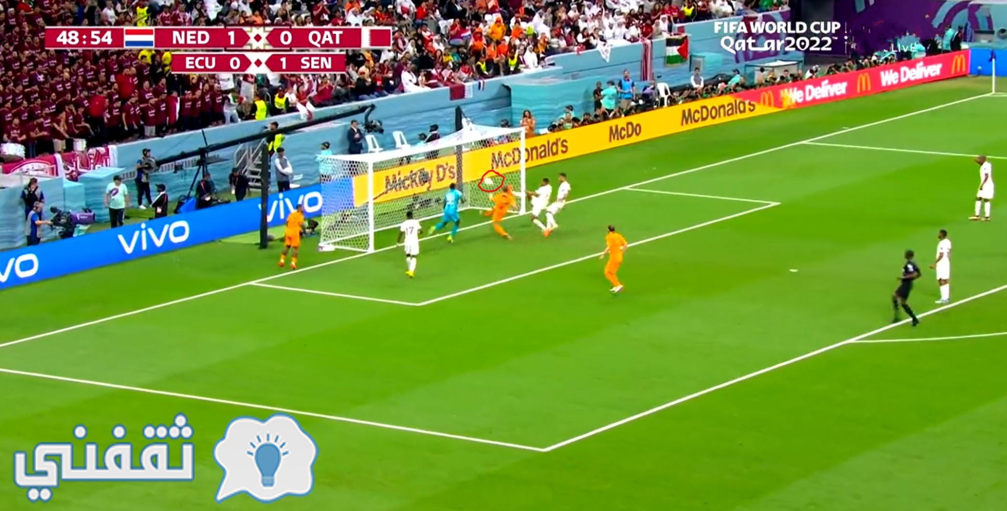 أهداف مباراة هولندا ضد قطر