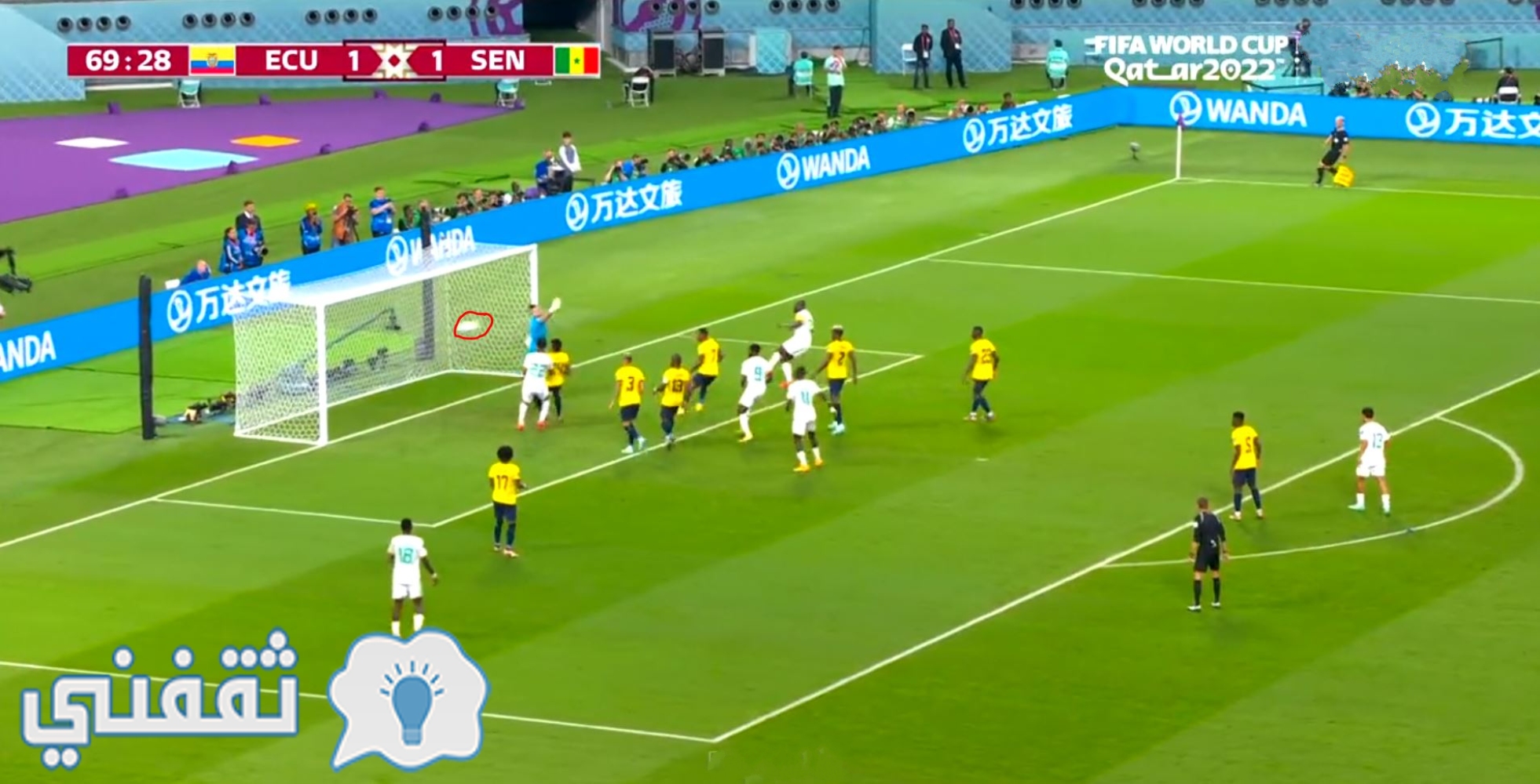 أهداف مباراة الإكوادور والسنغال في نفس توقيت مباراة قطر وهولندا