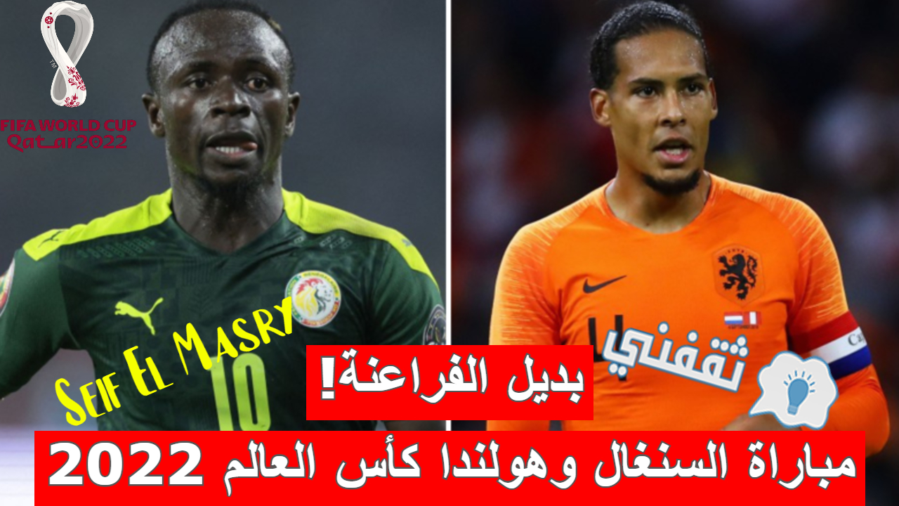 مباراة السنغال وهولندا في كأس العالم 2022