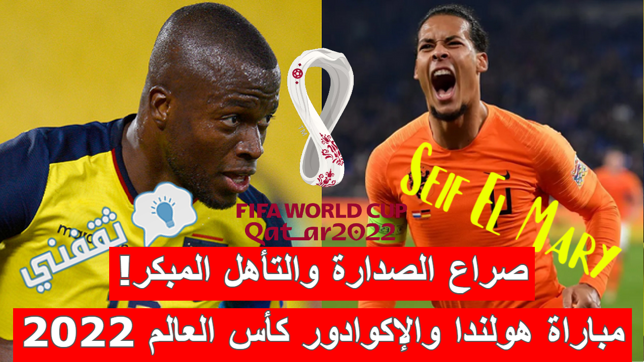 مباراة هولندا والإكوادور في كأس العالم قطر 2022