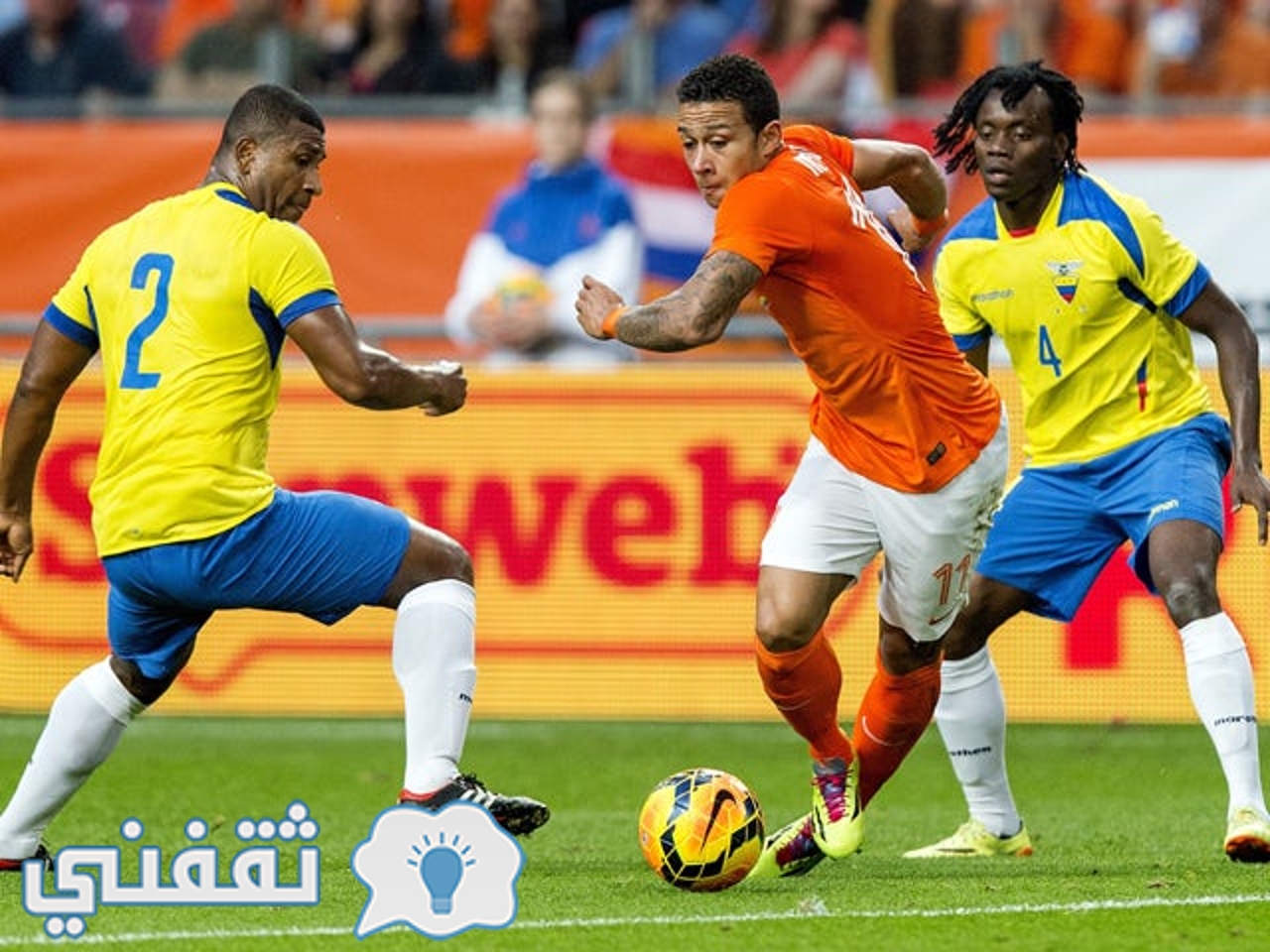 مباراة هولندا والإكوادور