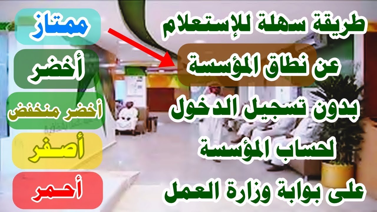 معرفة نطاق الشركة