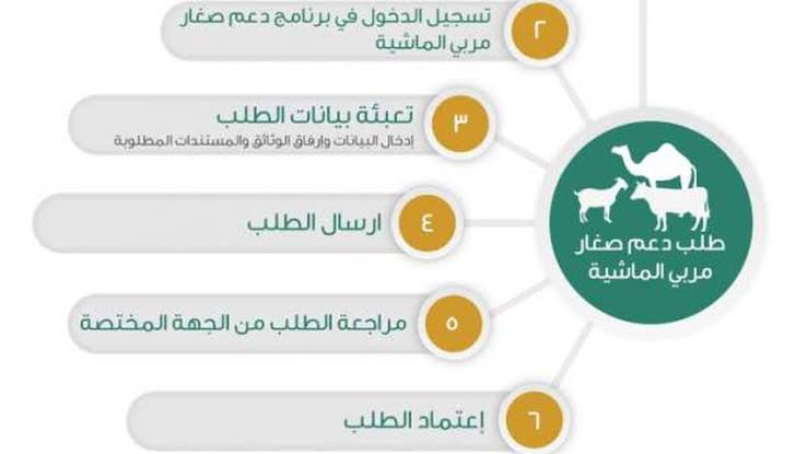 التسجيل في دعم المواشي