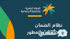 برنامج دعم الضمان الاجتماعي