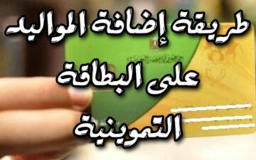 كيف نضيف المواليد الجدد إلي بطاقة التموين