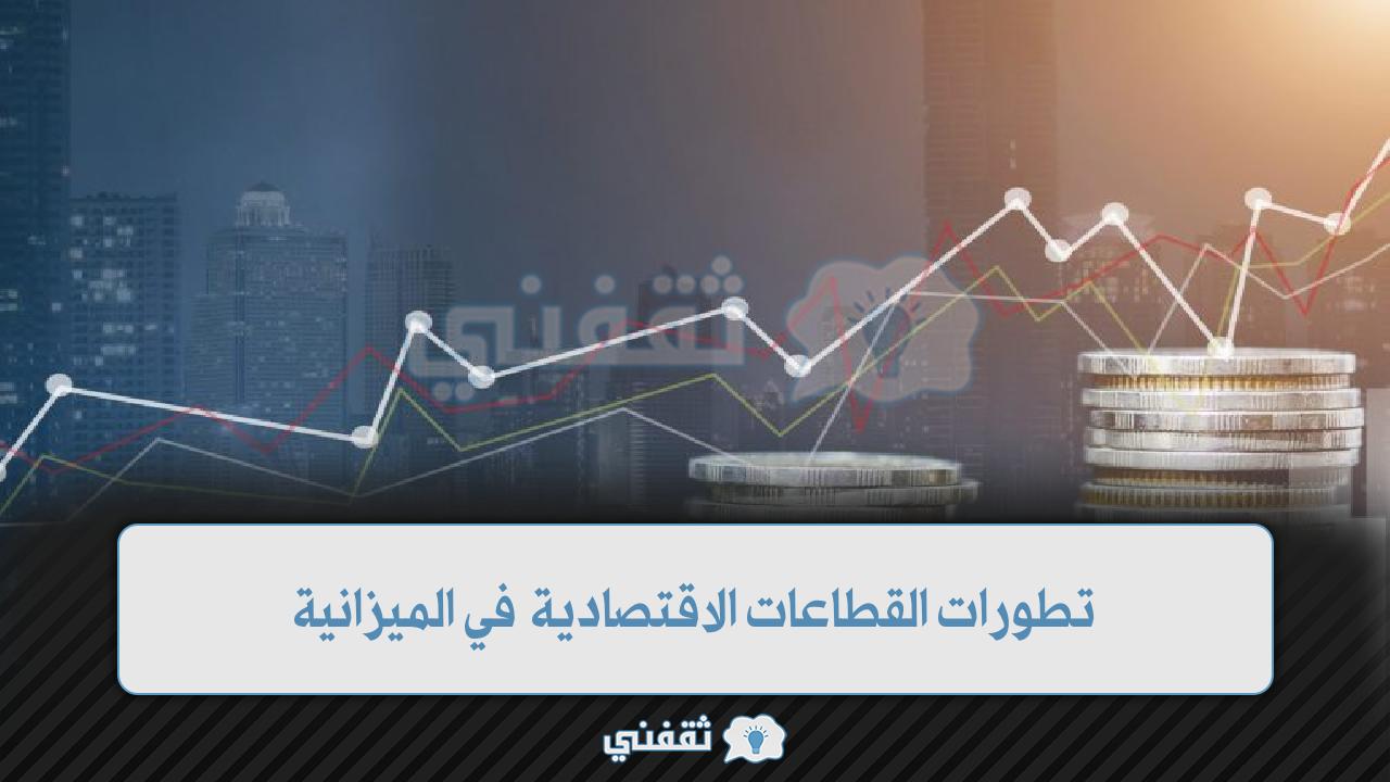 تطورات القطاعات الاقتصادية في الميزانية