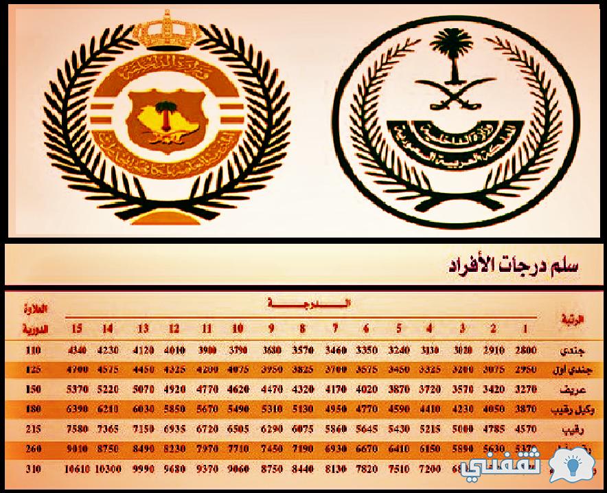 ما هي وظيفة مكافحة المخدرات؟