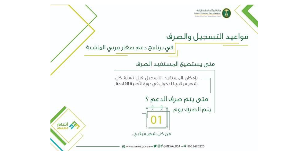 دعم المواشي
