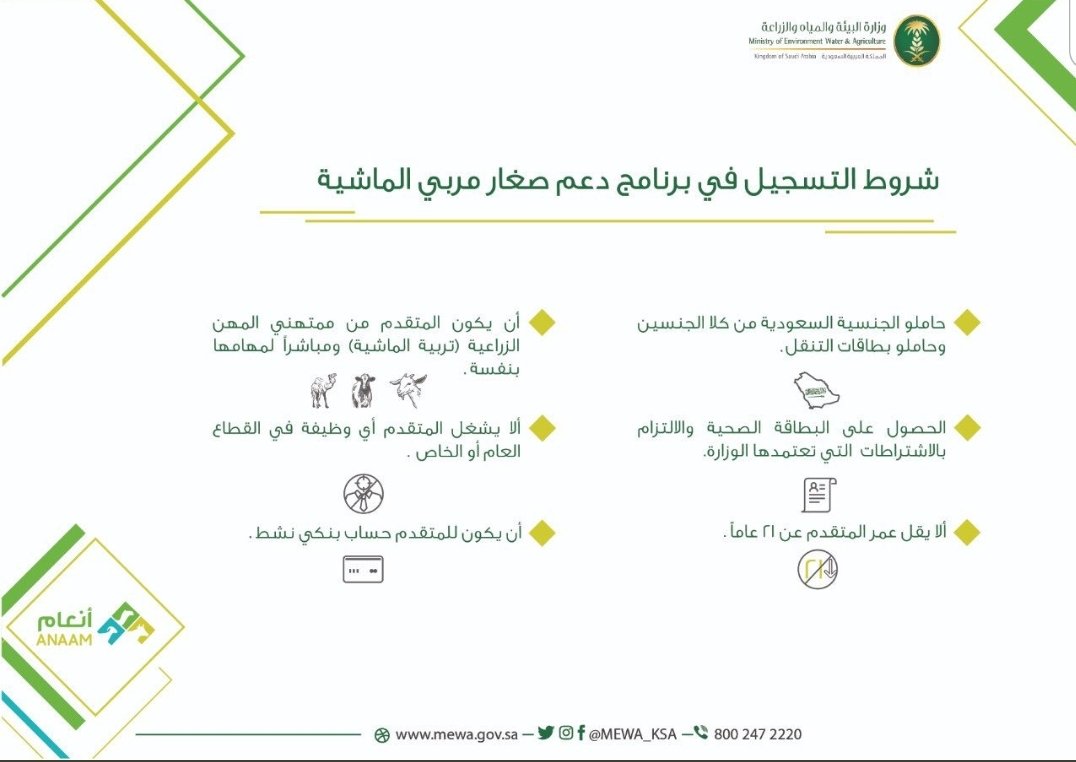 شروط التسجيل في دعم مربي الماشية
