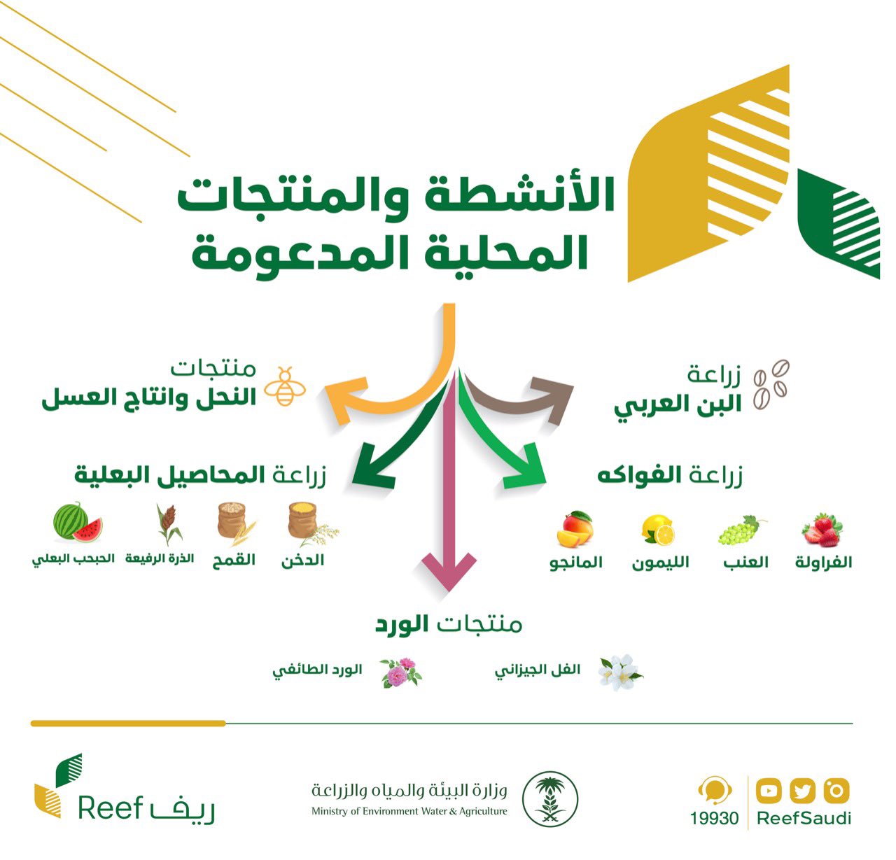 رابط استعلام دعم ريف برقم الهوية الوطنية وخطوات التقديم