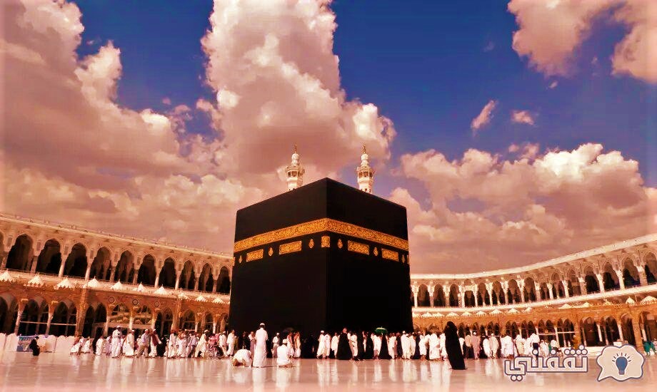 كيف اقدم على تاشيرة عمرة؟