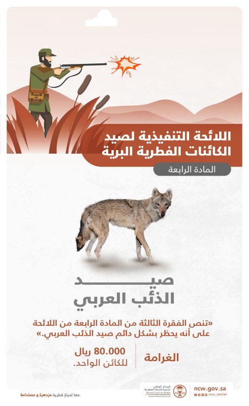 عقوبة صيد الذئب العربي