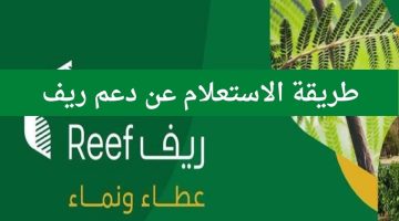 برقم الهوية رابط جديد الاستعلام عن دعم ريف السعودية نفاذ بعد حل مشكلة تعليق منصة ريف