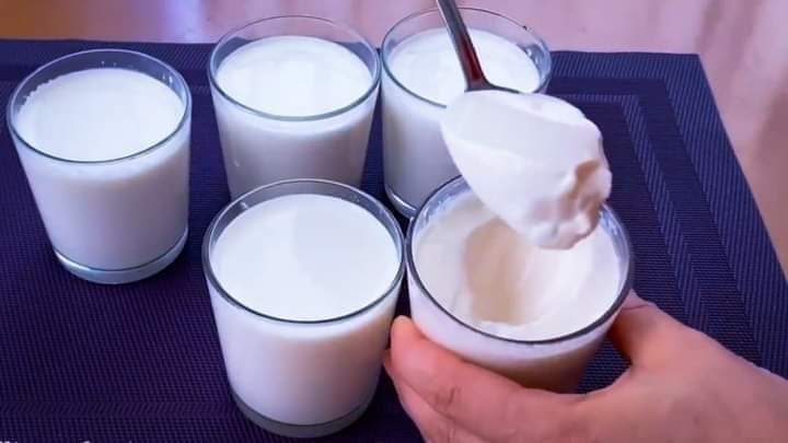 خطوات عمل الزبادي من المنزل