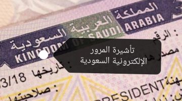 تأشيرة المرور الإلكترونية السعودية