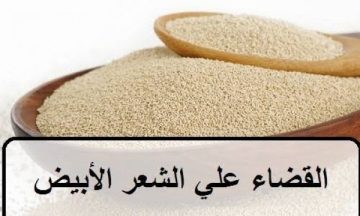 علاج الشيب بالخميرة وصفة سحرية للتخلص من الشعر الأبيض نهائيا مهما كان عمرك