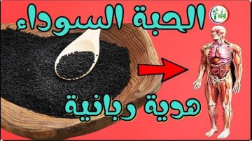 فوائد حبة البركة على الريق لعلاج الكثير من الأمراض لن تتخيل النتيجة