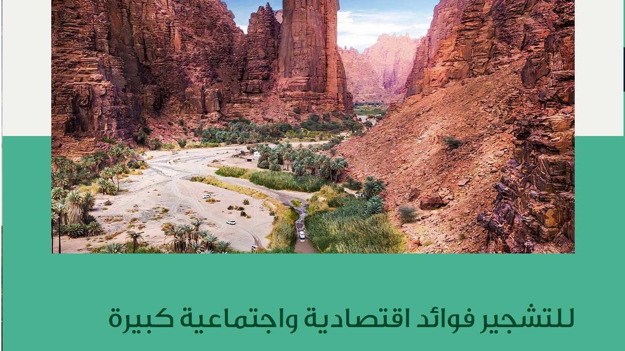 أهداف مبادرة السعودية الخضراء