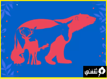 ما هو الحيوان الذي لفت انتباهك أولاً ؟ وماذا يعني ذلك عن شخصيتك؟