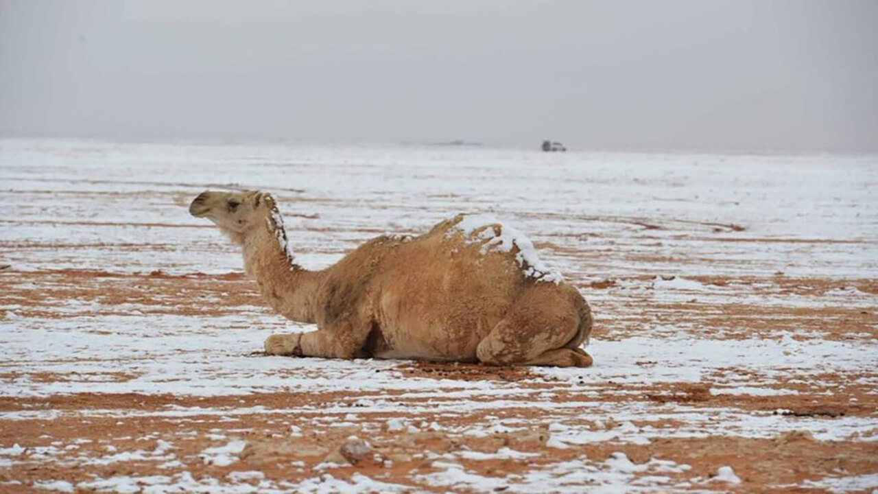 عاجل المركز الوطني للأرصاد