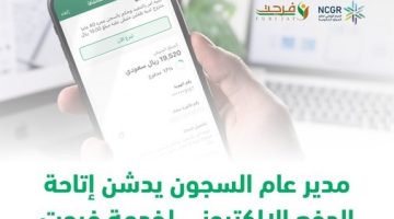 الدفع الإلكتروني لخدمة فرجت