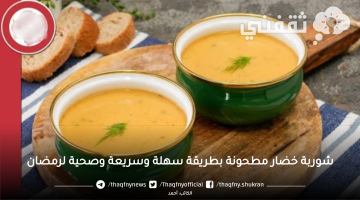 شوربة خضار مطحونة