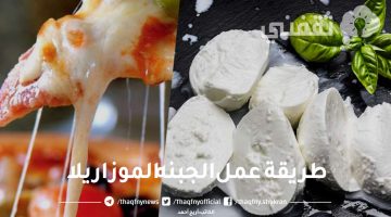 طريقة عمل الجبنه الموزاريلا