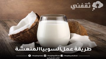 طريقة عمل السوبيا