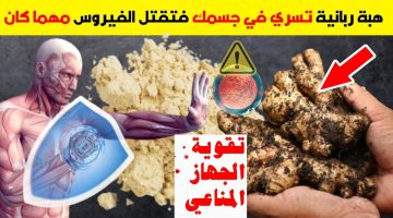 رفع المناعة بسرعة