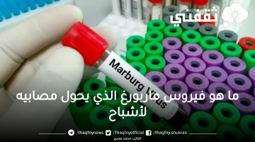 ما هو فيروس ماربورغ الذي يحول مصابيه لأشباح ونسبة وفياته 90% بعد تحذير منظمة الصحة العالمية منه