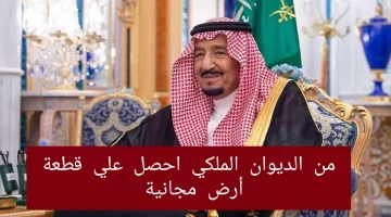 منحة أرض مجانية من الديوان الملكي السعودي