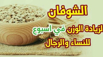 وصفة الشوفان لزيادة الوزن في اسبوع